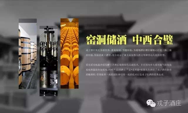 【商会新闻】——“黄天厚土 根深酒好”戎子酒庄葡萄酒品鉴活动成功举行！